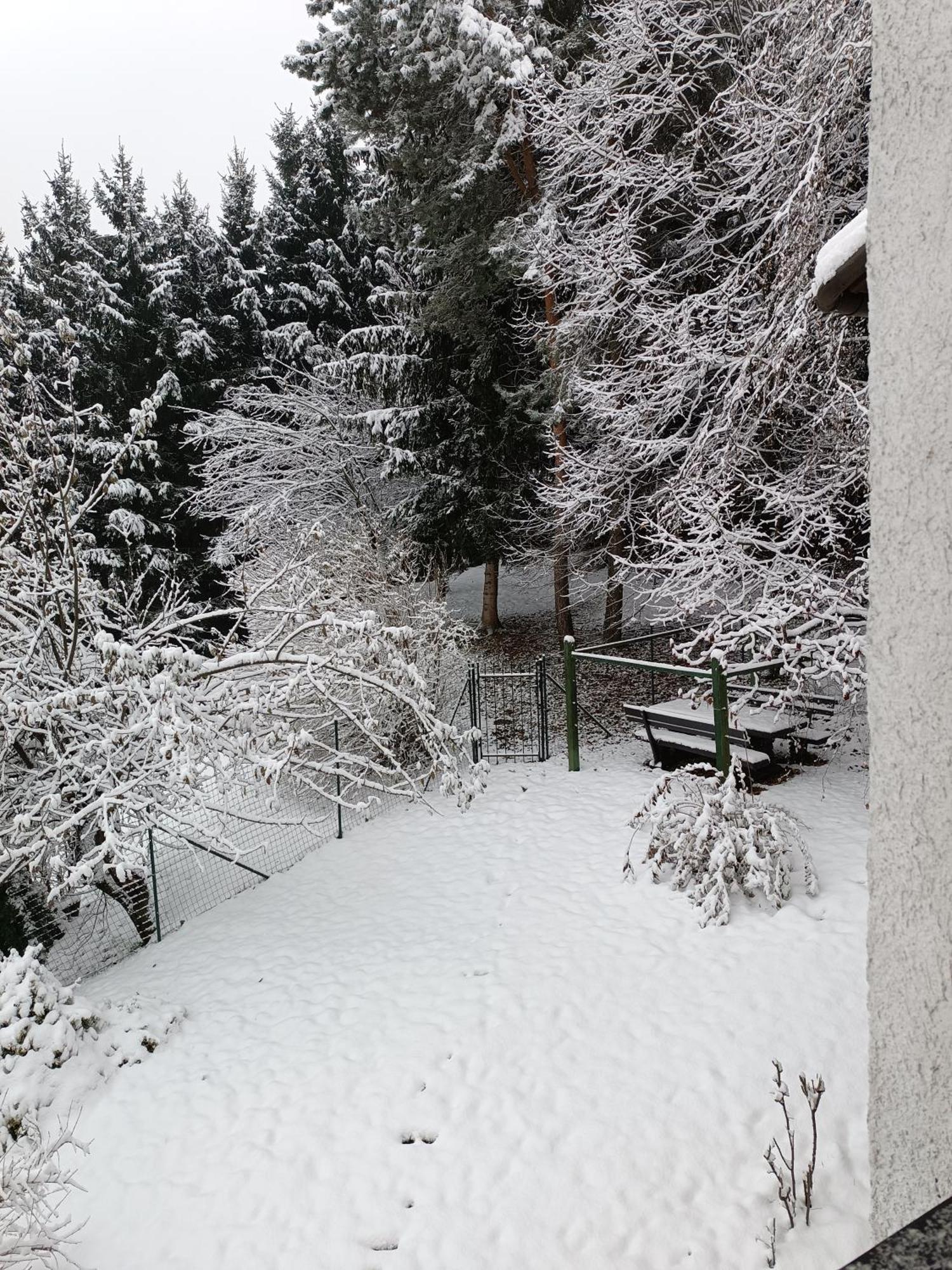 Apartma Xanadu Slovenske Konjice Exteriör bild